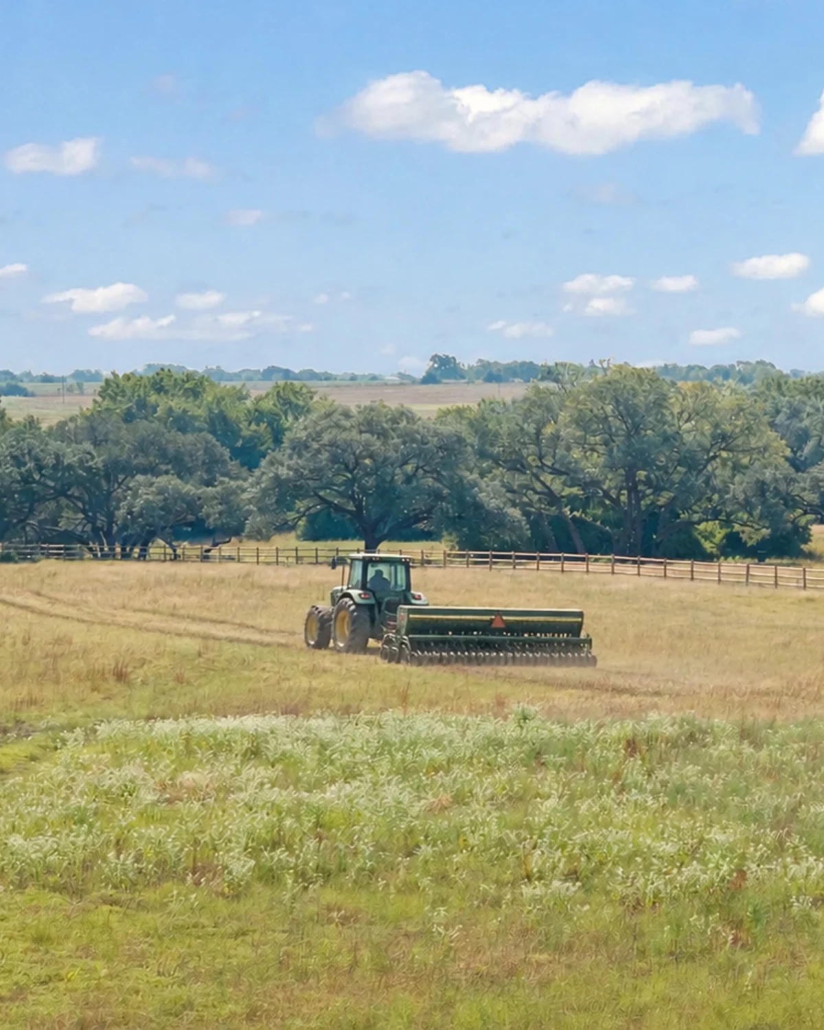 A green and yellow tractor pulling a dark seed drill across a sunlit Walker Branch prairie, mown paths and patches of white wildflowers in the foreground, a wooden fence and dense green trees under a blue sky beyond.