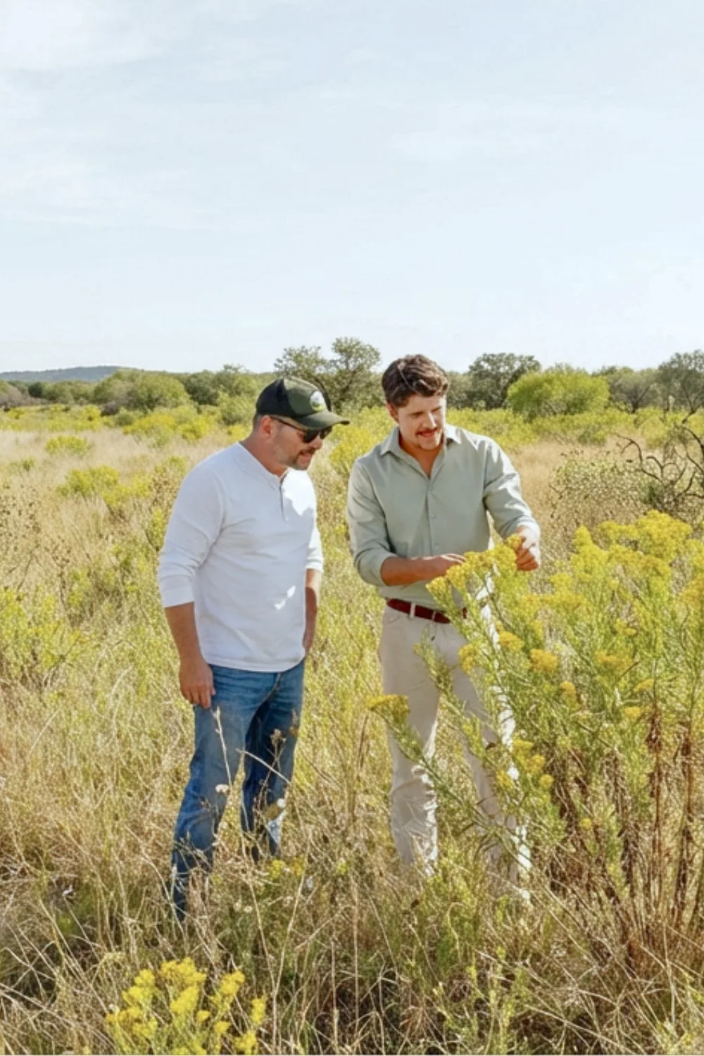 Two men standing in waist-high native prairie grass, looking closely at a stand of yellow goldenrod in bloom under an open Texas sky.