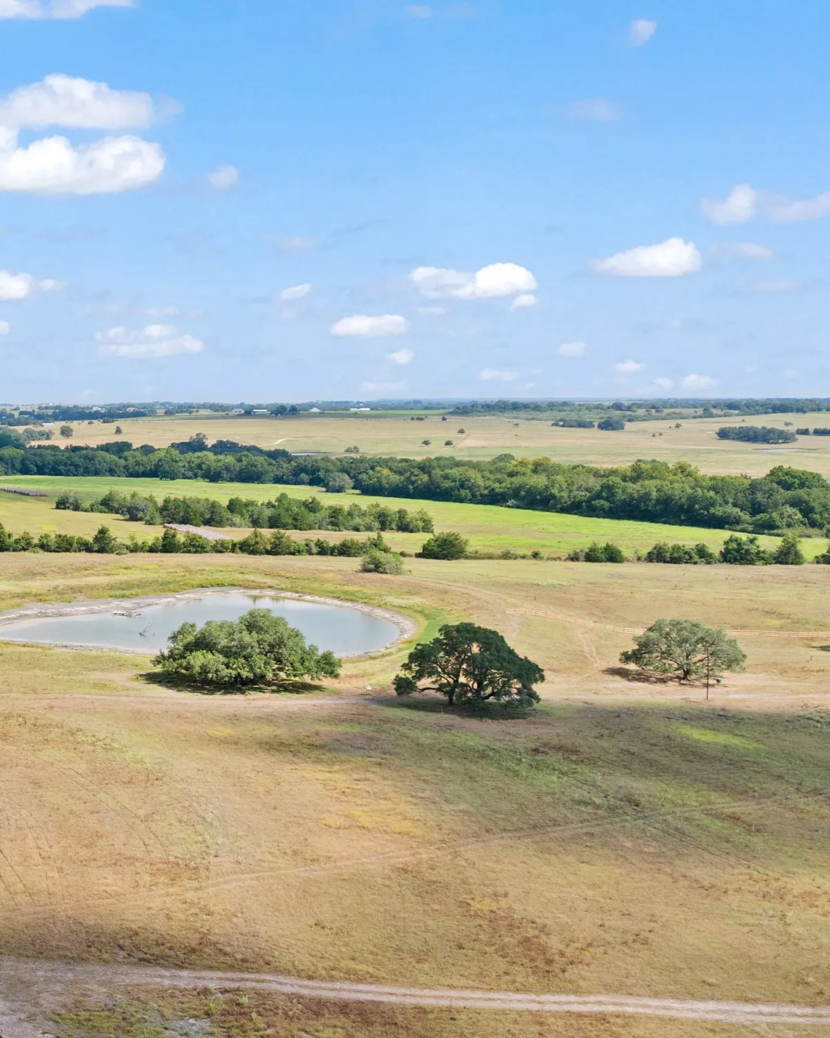 Rolling Fayette County pasture stretching to the horizon, a stock pond ringed by live oaks in the foreground and tree lines dividing green fields beyond.