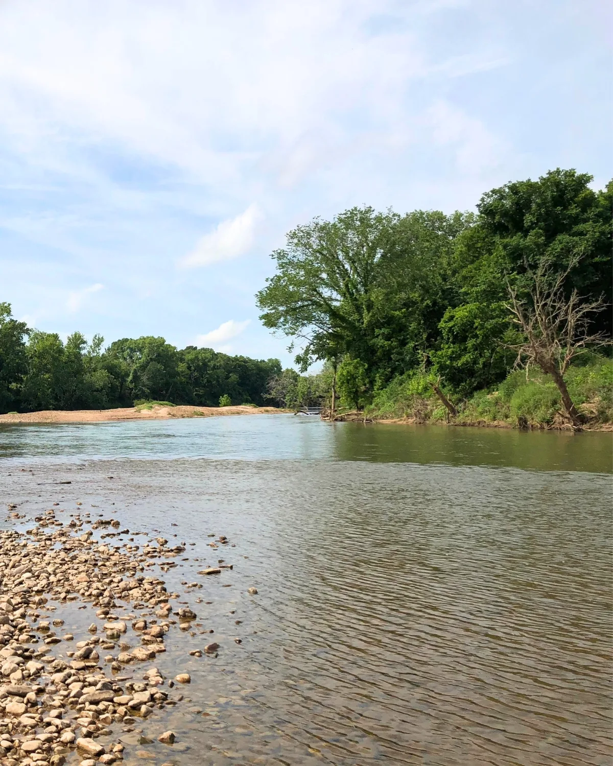 The Colorado River seen from a rocky gravel bar at the water's edge, green hardwoods crowding the far bank under a bright summer sky.