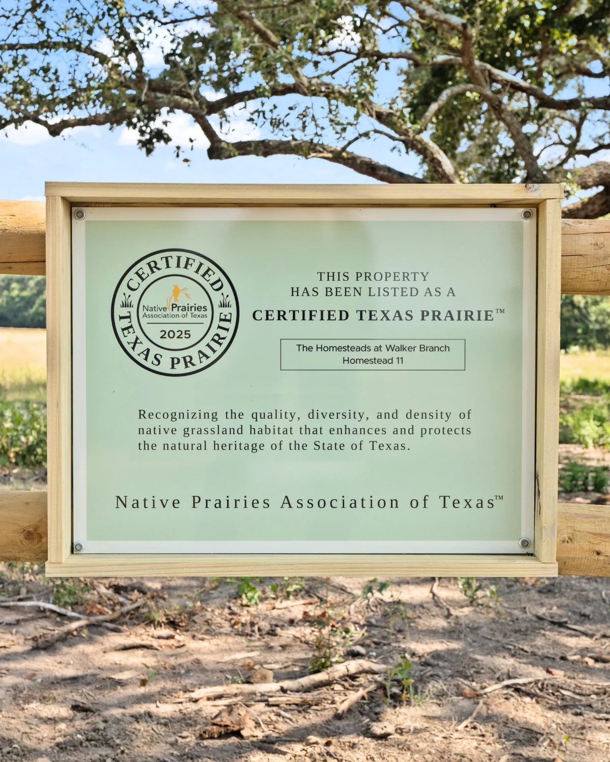 A pale-green Certified Texas Prairie sign on a wooden post-and-rail fence at The Homesteads at Walker Branch, reading that Homestead 11 has been listed as a Certified Texas Prairie by the Native Prairies Association of Texas, with a grassy field and leafy oaks behind it.