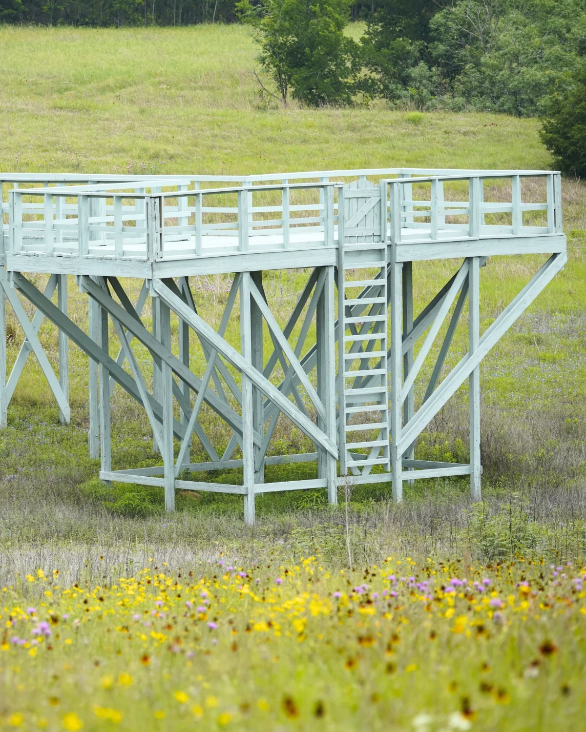 A pale blue-grey elevated wooden wildlife observation platform with a railing and ladder on Homestead 4 at Walker Branch, rising above a meadow of yellow and purple wildflowers with a grassy hill and dark tree line behind it under an overcast sky.