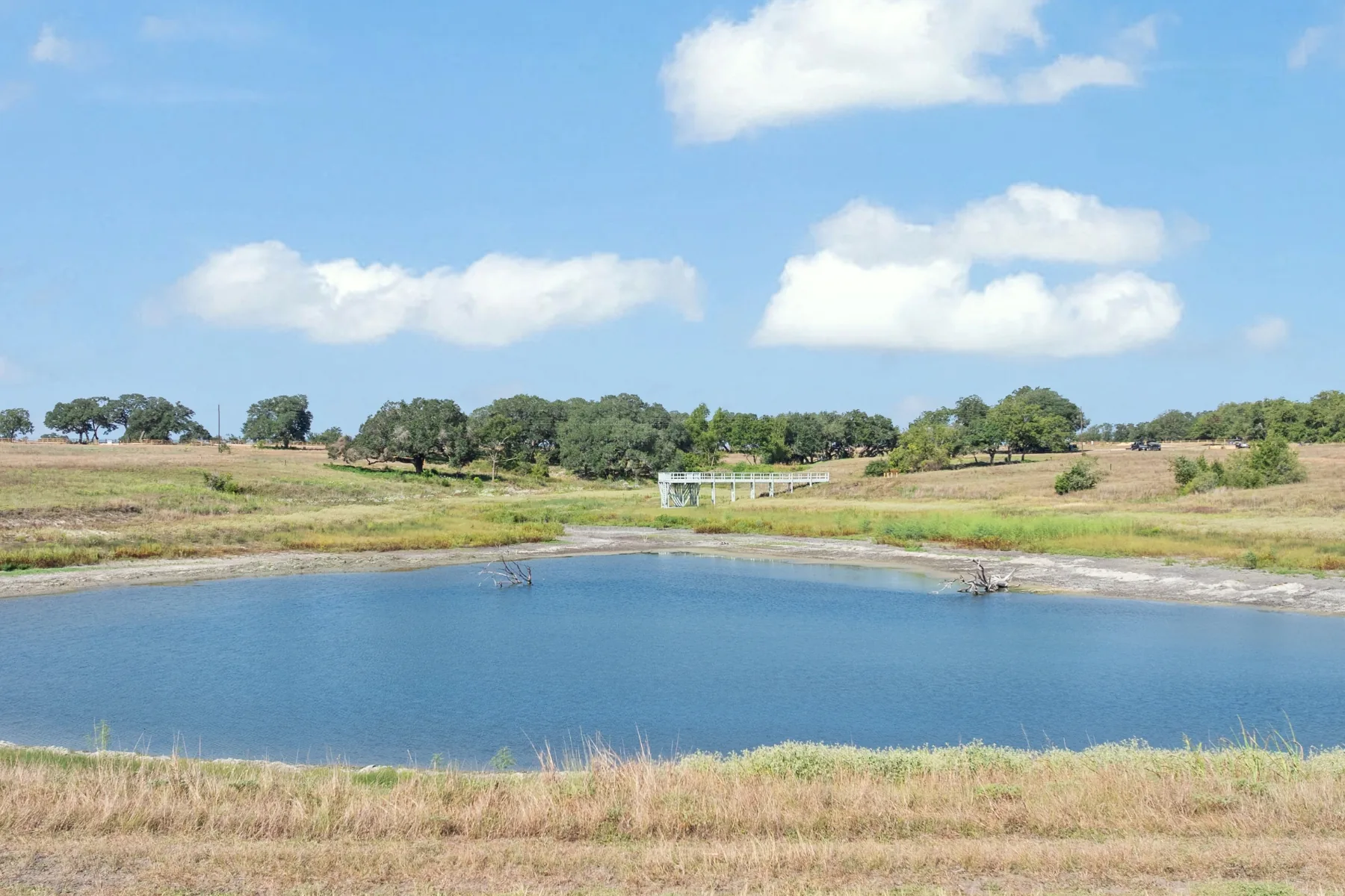 A large pond at The Homesteads at Walker Branch, with a white fishing pier at the far bank, open prairie grass around the water, and live oaks along the horizon.