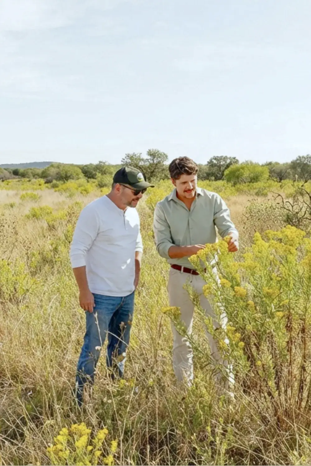 Two men standing in waist-high native prairie grass, looking closely at a stand of yellow goldenrod in bloom under an open Texas sky.